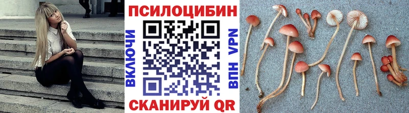 Псилоцибиновые грибы MAGIC MUSHROOMS  площадка телеграм  Льгов  блэк спрут ссылка 